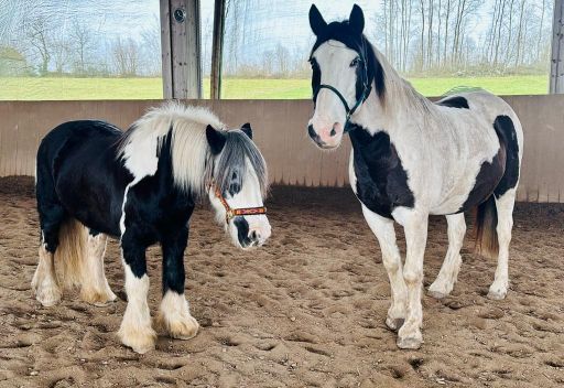 2023 12 Dezember 663